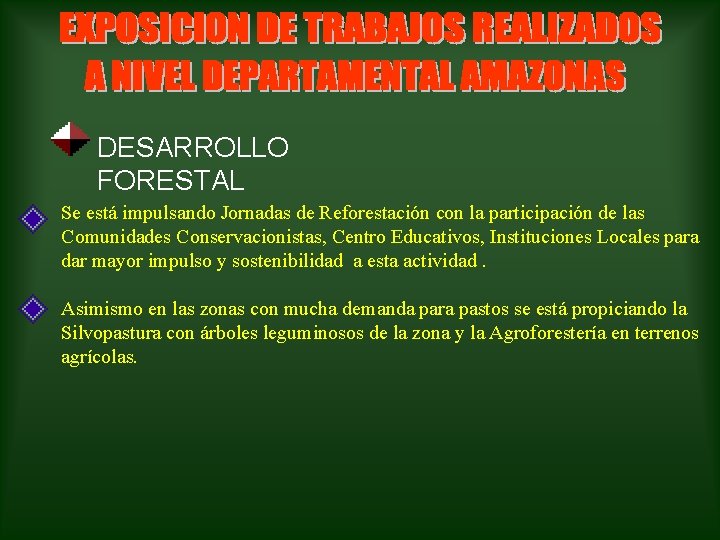  DESARROLLO FORESTAL Se está impulsando Jornadas de Reforestación con la participación de las