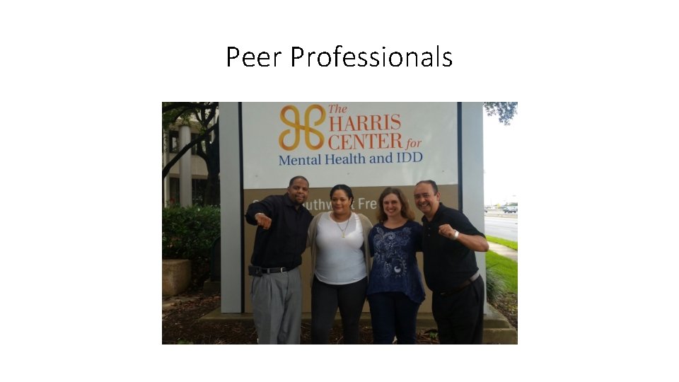 Peer Professionals 