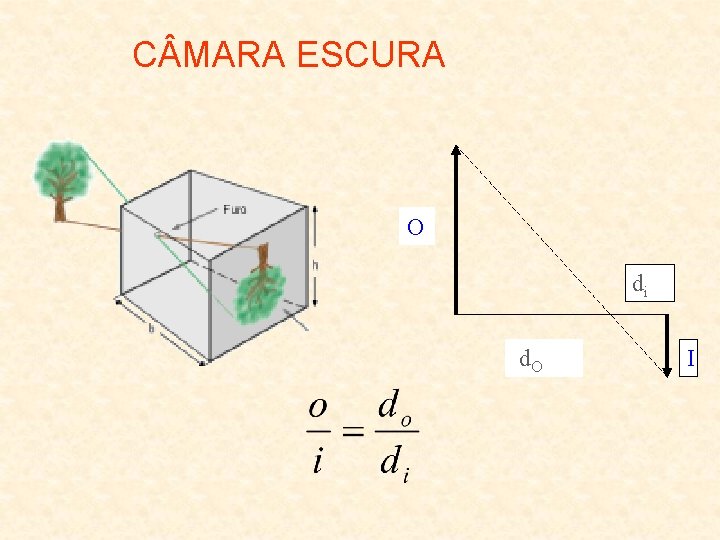 C MARA ESCURA O di d. O I 