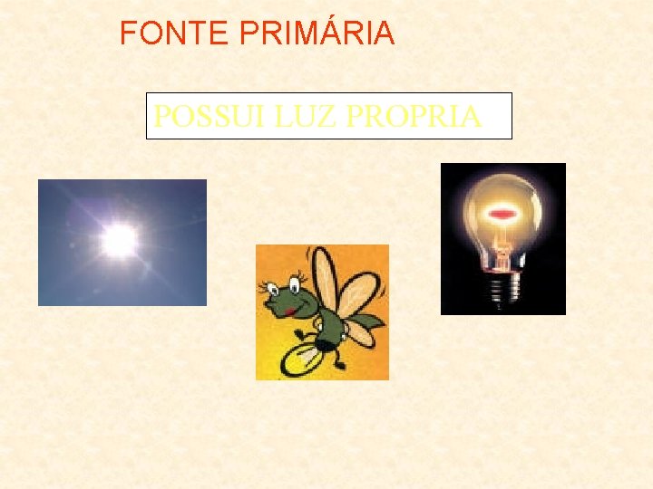 FONTE PRIMÁRIA POSSUI LUZ PROPRIA 