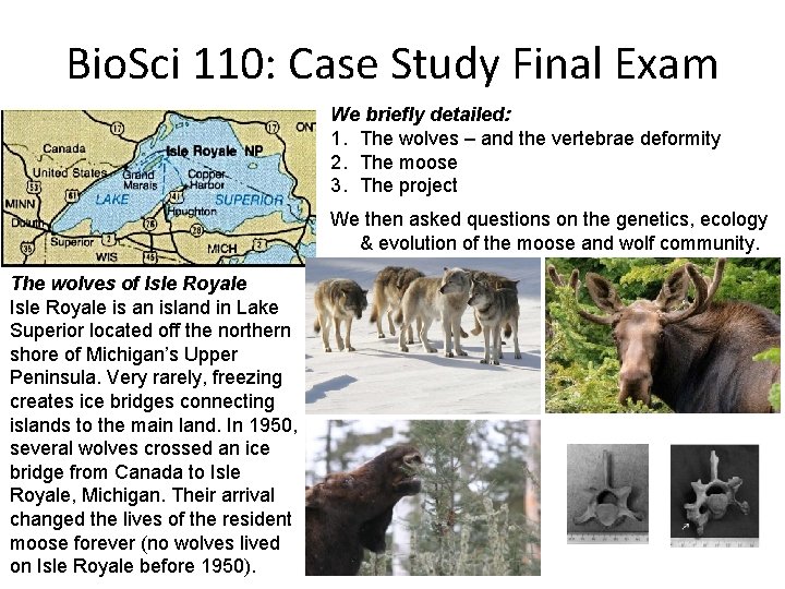 Bio. Sci 110: Case Study Final Exam We briefly detailed: 1. The wolves –