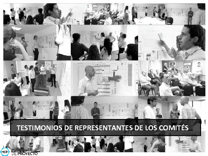 TESTIMONIOS DE REPRESENTANTES DE LOS COMITÉS 