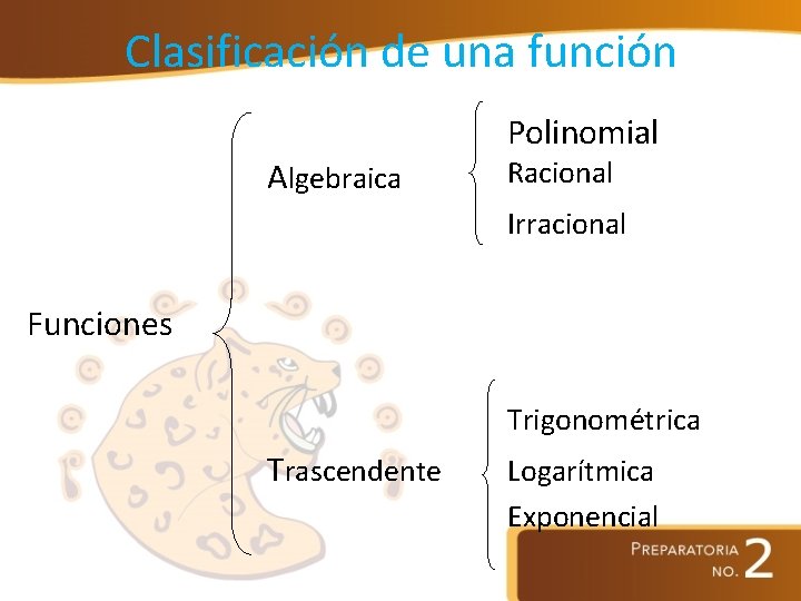 Clasificación de una función Polinomial Algebraica Racional Irracional Funciones Trigonométrica Trascendente Logarítmica Exponencial 