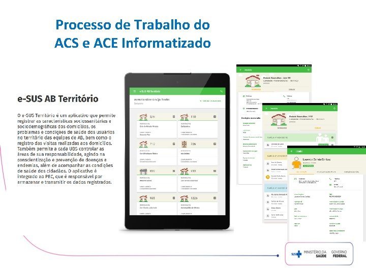 Processo de Trabalho do ACS e ACE Informatizado 