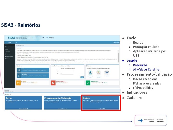 SISAB - Relatórios ● Envio ○ Equipe ○ Produção enviada ○ Aplicação utilizada por