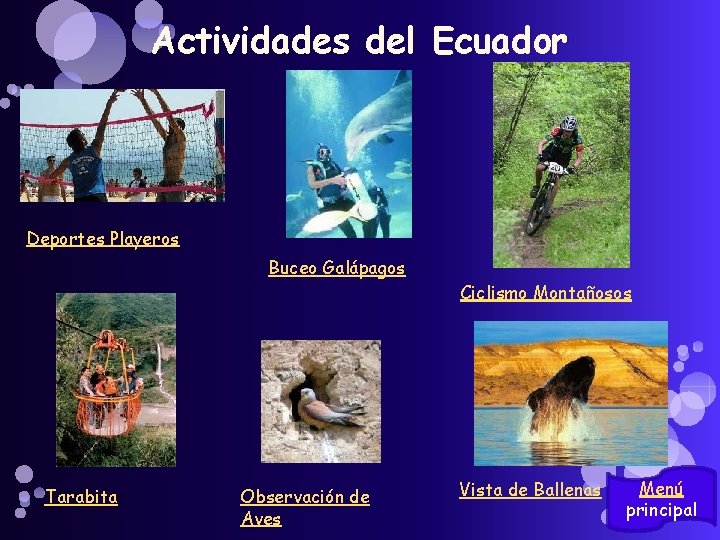 Actividades del Ecuador Deportes Playeros Buceo Galápagos Tarabita Observación de Aves Ciclismo Montañosos Vista