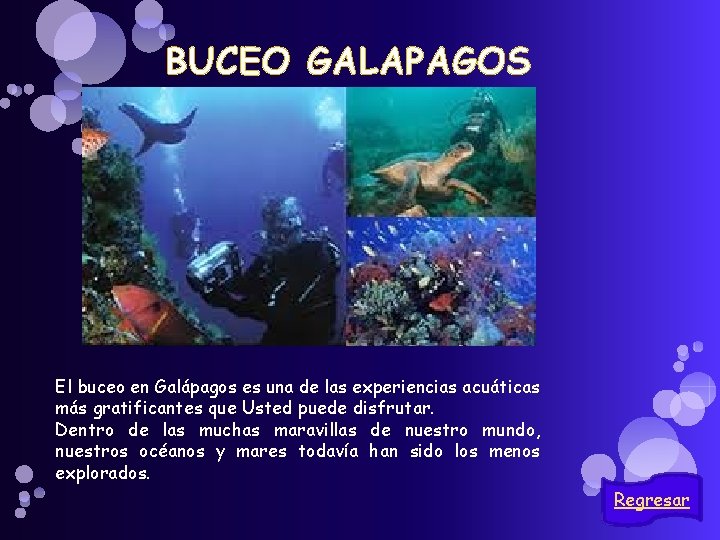 BUCEO GALAPAGOS El buceo en Galápagos es una de las experiencias acuáticas más gratificantes