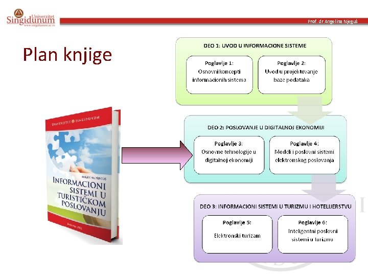 Prof. dr Angelina Njeguš Plan knjige 