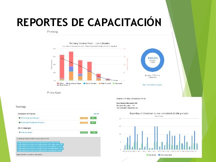 REPORTES DE CAPACITACIÓN 