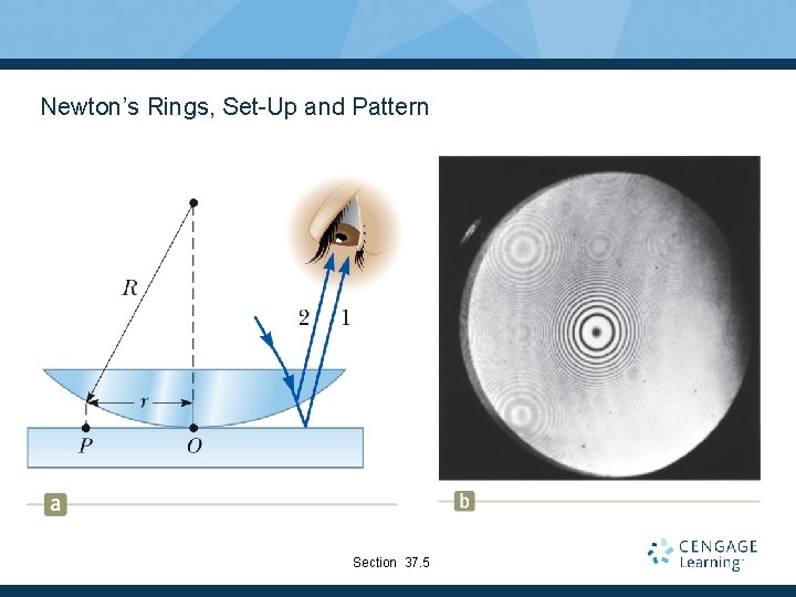 Newton’s Rings, Set-Up and Pattern Section 37. 5 
