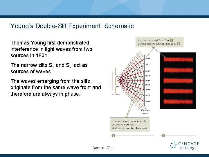 Young’s Double-Slit Experiment: Schematic Thomas Young first demonstrated interference in light waves from two