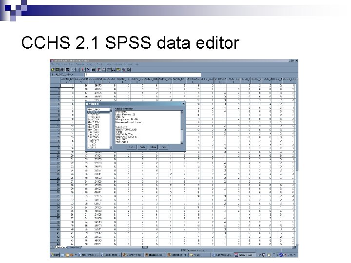 CCHS 2. 1 SPSS data editor 