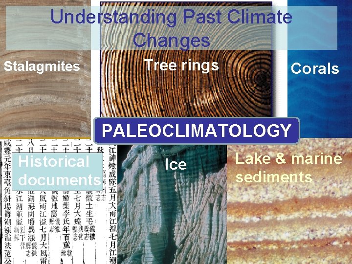 Understanding Past Climate Changes Tree rings Stalagmites Corals PALEOCLIMATOLOGY Historical documents Ice Lake &