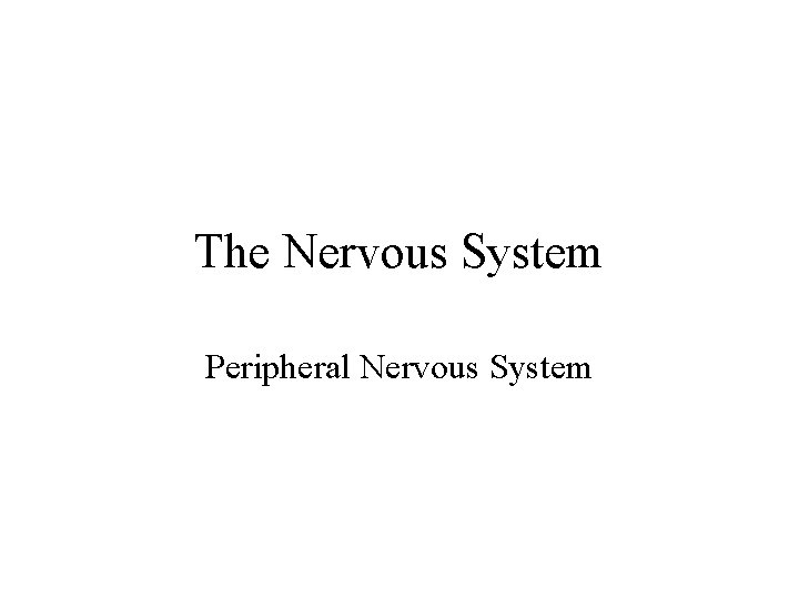 The Nervous System Peripheral Nervous System 