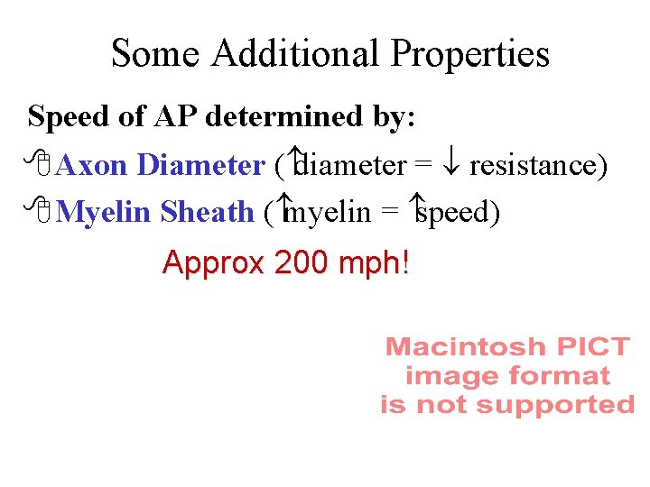 Some Additional Properties Speed of AP determined by: 8 Axon Diameter ( diameter =