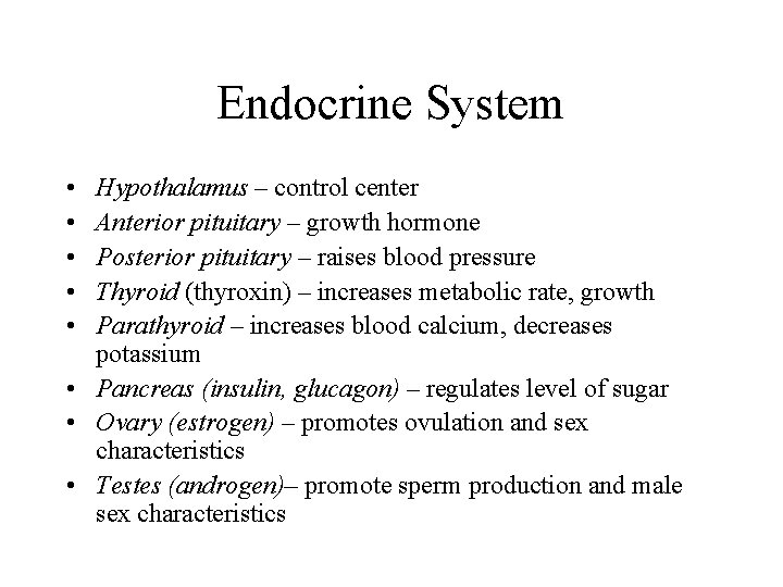 Endocrine System • • • Hypothalamus – control center Anterior pituitary – growth hormone