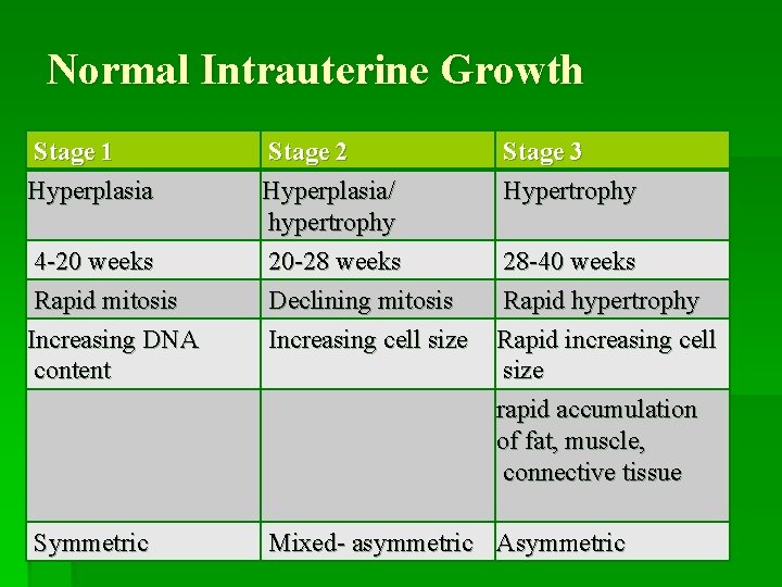 Normal Intrauterine Growth Stage 1 Hyperplasia 4 -20 weeks Rapid mitosis Increasing DNA content