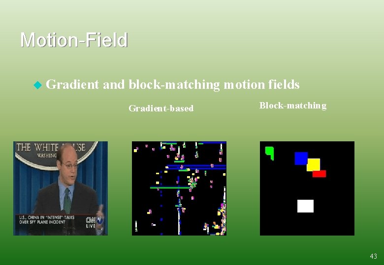 Motion-Field u Gradient and block-matching motion fields Gradient-based Block-matching 43 