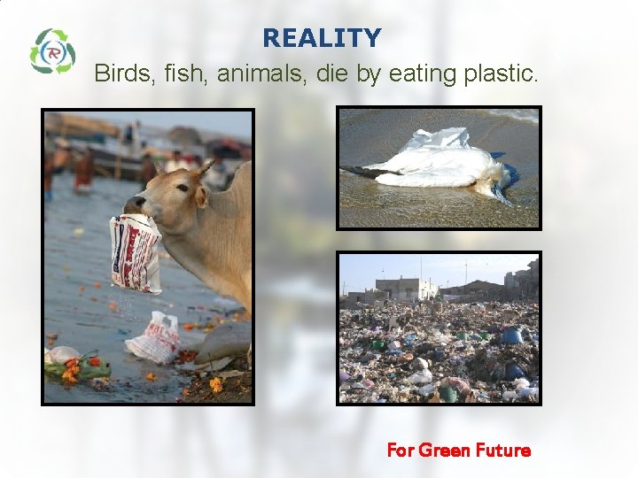 REALITY Birds, fish, animals, die by eating plastic. For Green Future REALITY Birds, fish, animals, die by eating plastic. For Green Future