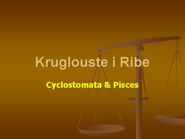 Kruglouste i Ribe Cyclostomata & Pisces 