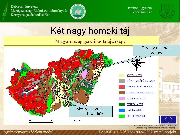 Két nagy homoki táj Savanyú homok: Nyírség Meszes homok: Duna-Tisza köze 