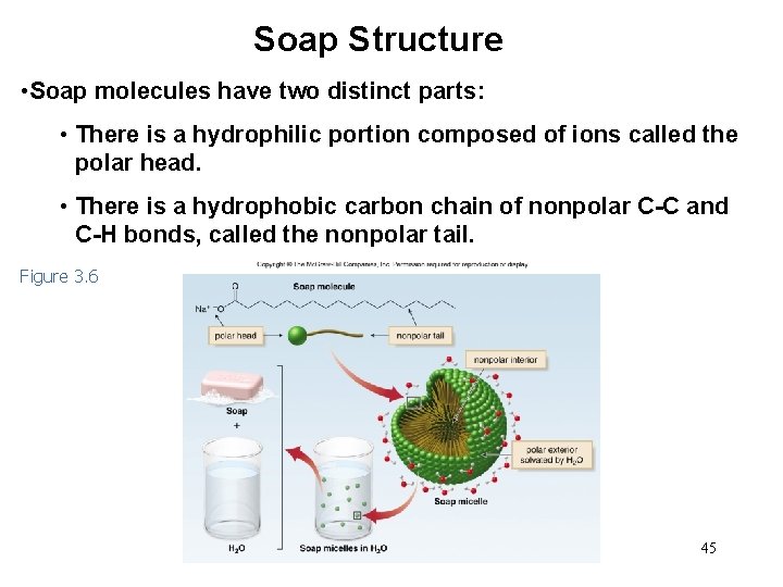 Soap Structure • Soap molecules have two distinct parts: • There is a hydrophilic