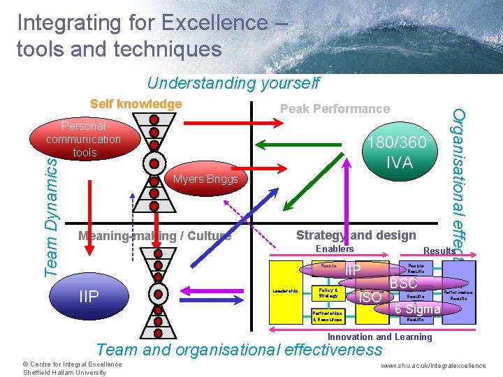 Integrating for Excellence – tools and techniques Understanding yourself Peak Performance Team Dynamics Personal