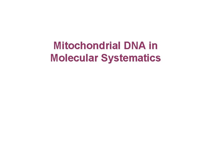 Mitochondrial DNA in Molecular Systematics 