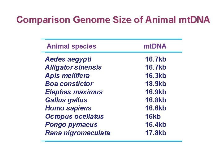 Comparison Genome Size of Animal mt. DNA Animal species mt. DNA Aedes aegypti Alligator