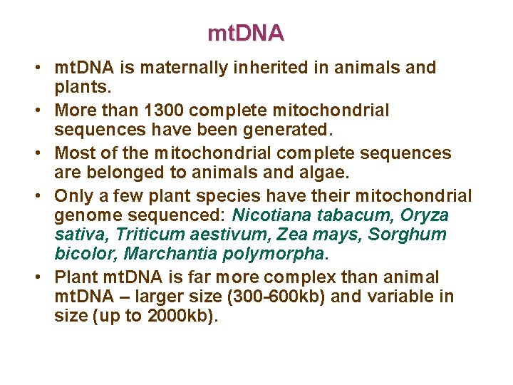 mt. DNA • mt. DNA is maternally inherited in animals and plants. • More