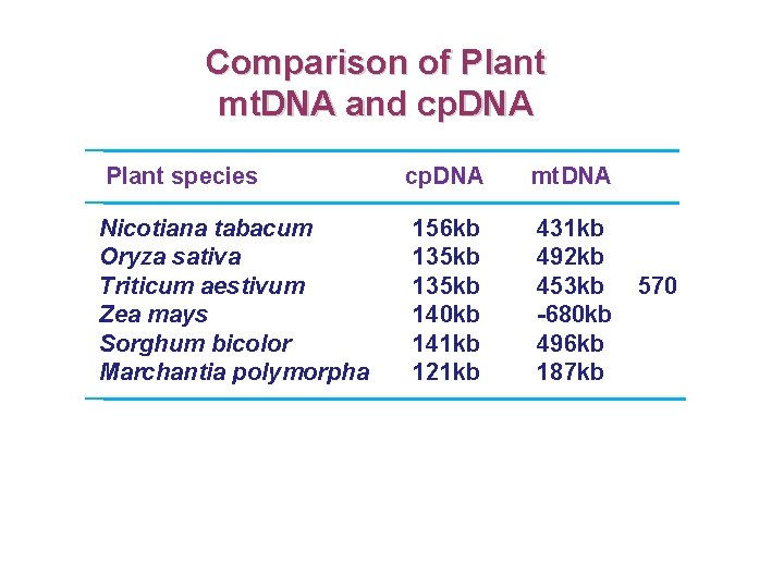 Comparison of Plant mt. DNA and cp. DNA Plant species Nicotiana tabacum Oryza sativa