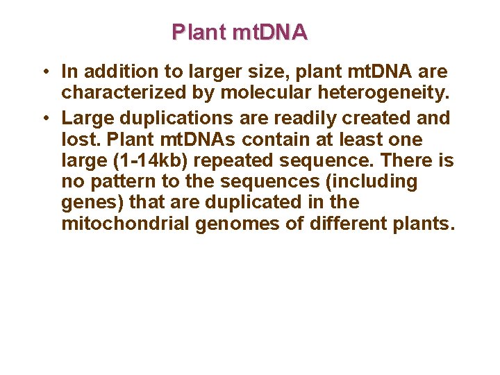 Plant mt. DNA • In addition to larger size, plant mt. DNA are characterized