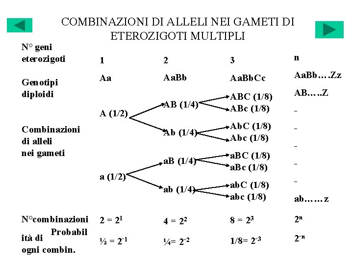 COMBINAZIONI DI ALLELI NEI GAMETI DI ETEROZIGOTI MULTIPLI N° geni eterozigoti Genotipi diploidi 1