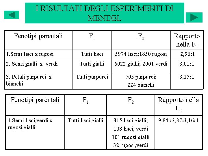 I RISULTATI DEGLI ESPERIMENTI DI MENDEL Fenotipi parentali F 1 F 2 Rapporto nella