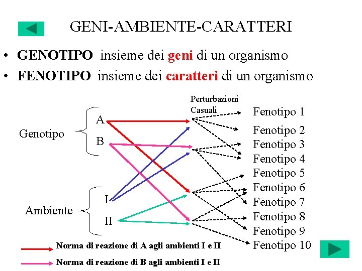 GENI-AMBIENTE-CARATTERI • GENOTIPO insieme dei geni di un organismo • FENOTIPO insieme dei caratteri