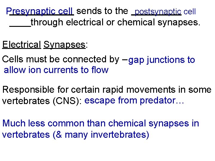 Presynaptic cell sends to the postsynaptic cell through electrical or chemical synapses. Electrical Synapses: