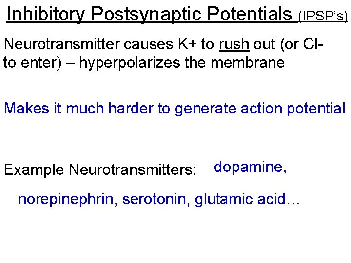 Inhibitory Postsynaptic Potentials (IPSP’s) Neurotransmitter causes K+ to rush out (or Clto enter) –