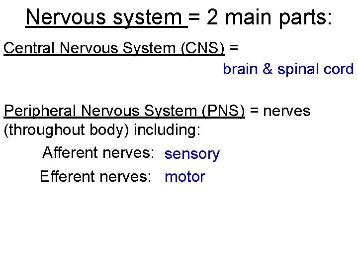 Nervous system = 2 main parts: Central Nervous System (CNS) = brain & spinal