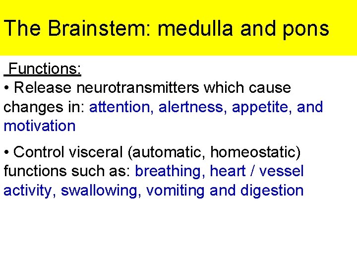 The Brainstem: medulla and pons Functions: • Release neurotransmitters which cause changes in: attention,