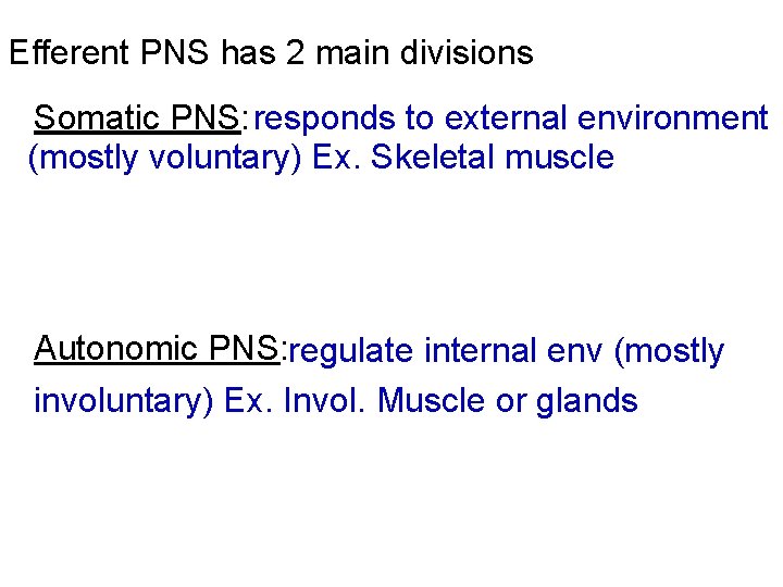 Efferent PNS has 2 main divisions Somatic PNS: responds to external environment (mostly voluntary)