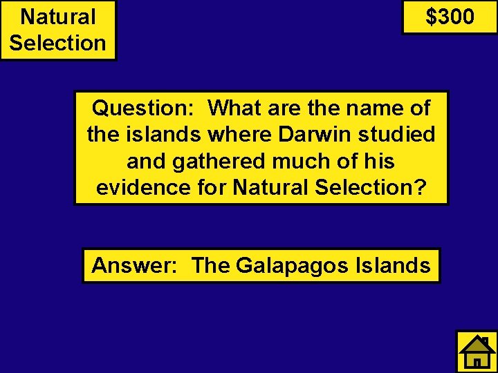 Natural Selection $300 Question: What are the name of the islands where Darwin studied
