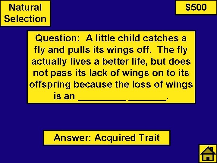 Natural Selection $500 Question: A little child catches a fly and pulls its wings