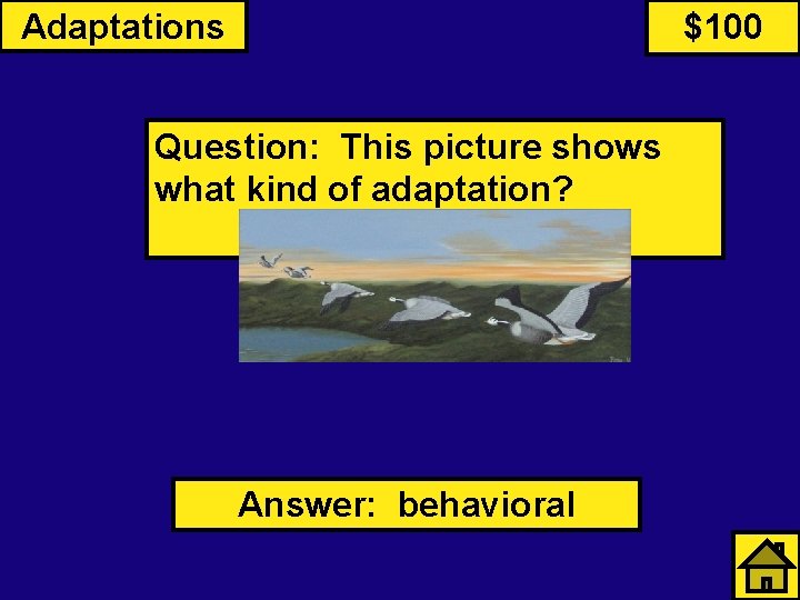 Adaptations $100 Question: This picture shows what kind of adaptation? Answer: behavioral 