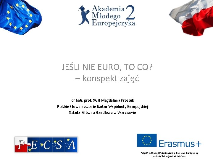 JEŚLI NIE EURO, TO CO? – konspekt zajęć dr hab. prof. SGH Magdalena Proczek