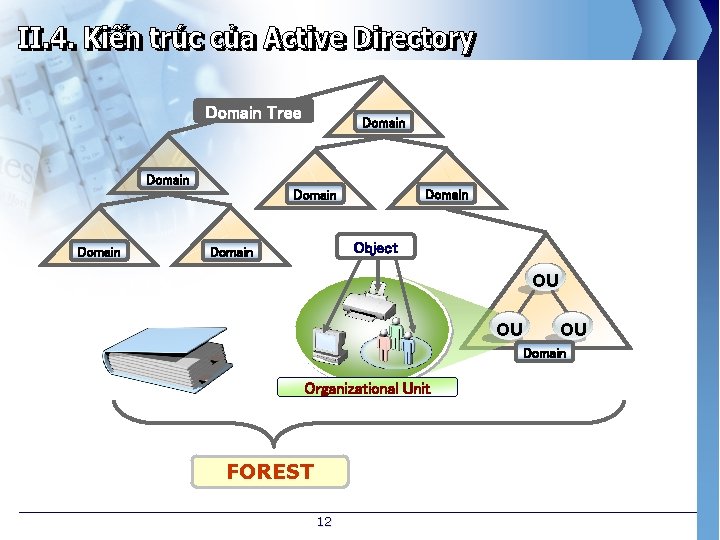 Domain Tree Domain Domain Object Domain OU OU OU Domain Organizational Unit FOREST 12