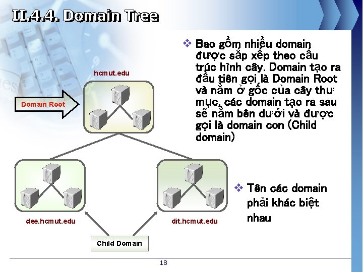 v Bao gồm nhiều domain được sắp xếp theo cấu trúc hình cây. Domain