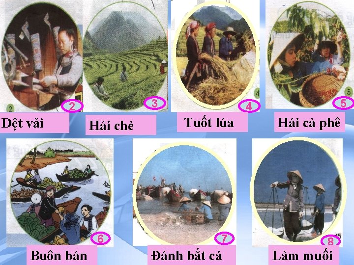 3 2 Dệt vải Hái chè 6 Buôn bán 5 4 Tuốt lúa 7