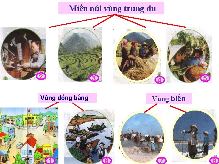 Miền núi vùng trung du 2 3 4 Vùng đồng bằng 1 5 Vùng