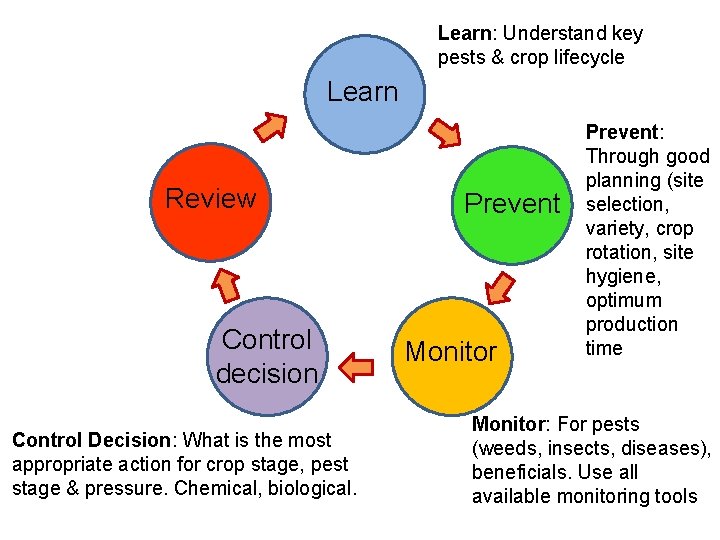 Learn: Understand key pests & crop lifecycle Learn Review Control decision Control Decision: What