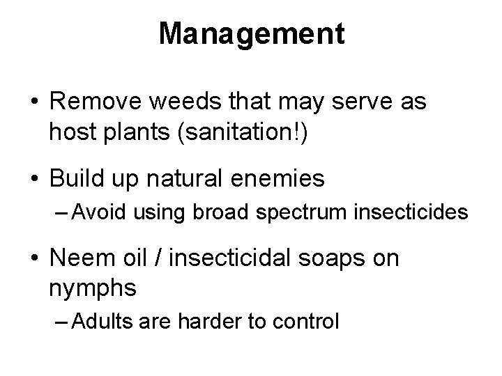 Management • Remove weeds that may serve as host plants (sanitation!) • Build up